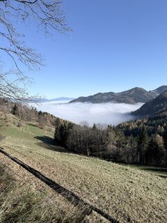 Fotografia z Anton Lilek na trase