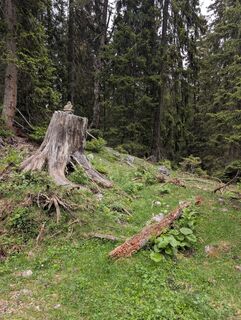 Foto von Isabell G. entlang der Tour
