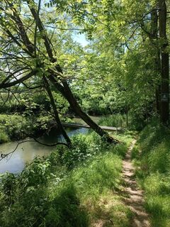 Brücke auf dem Pfad