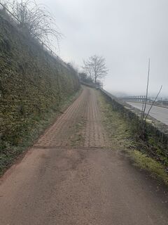 Zemljevid
