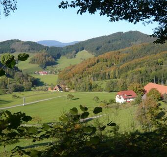 Mühlenbacher Seitental