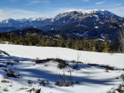Fotografija s spletne strani Herbert Hofbauer na poti