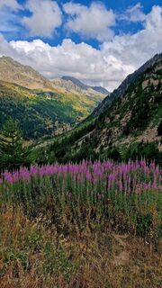 Foto de Fabrizi Mellano a lo largo del recorrido