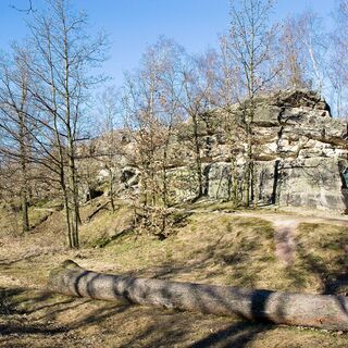 Naturflächendenkmal Götzenbusch