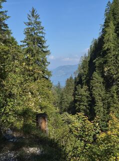 Fotografia z Reise5 Koenigin na trase