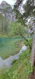 Fotografie de la Cordu Breitinger de-a lungul turului
