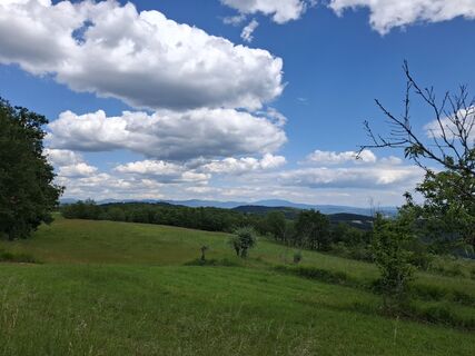 Fotografia z nordbergschnecke na trase