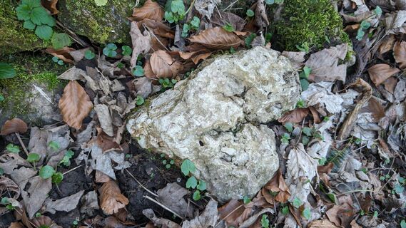 Fotografie z Klaus Lehner na trase
