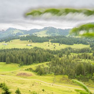 Blick auf die Alpflächen im Bereich Imberg und Hörmoos