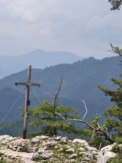 Foto von Hakuna Matata entlang der Tour