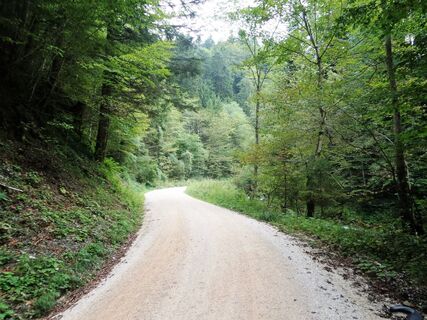 Forstweg Stoißeralm
