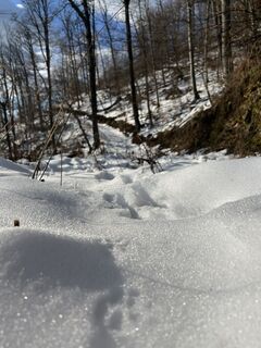 Foto de Ernest Dejanovic a lo largo del recorrido
