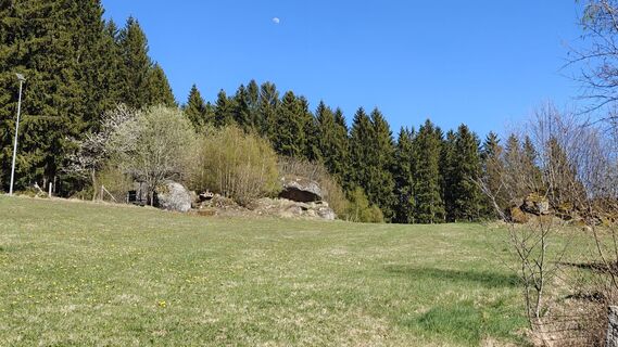 Fotografija s spletne strani Manfred na poti