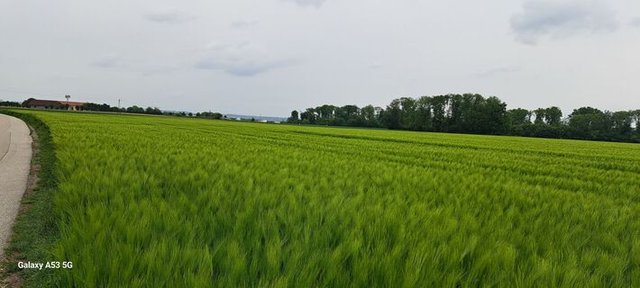 Fotografia z Dragomir Erak na trase