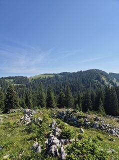 Photo de Franz Scholler 1 le long du parcours