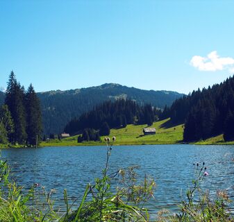 Morgins