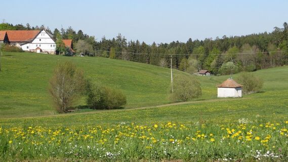 Blick ins Kollbachtal