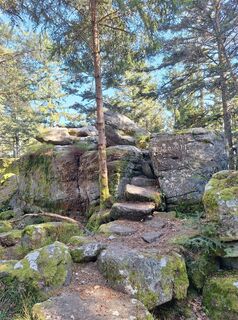 Photo de Katharina le long du parcours