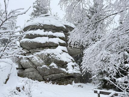 Photo de Dani Geiger / Natur_erleben_dg le long du parcours