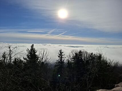 Fotografija s spletne strani Wollomator na poti