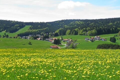 Blick in die Stehle