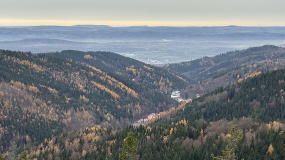 Foto de edefreak a lo largo del recorrido