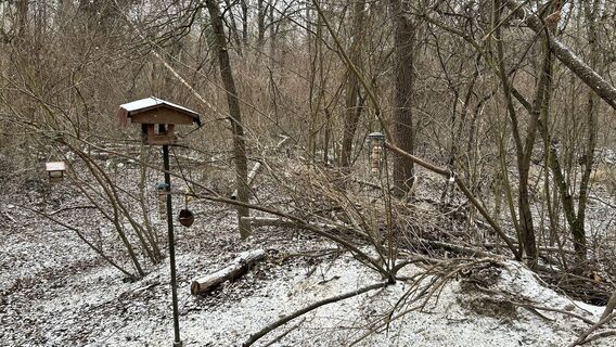 Fotografia z Richard Forchtner na trase