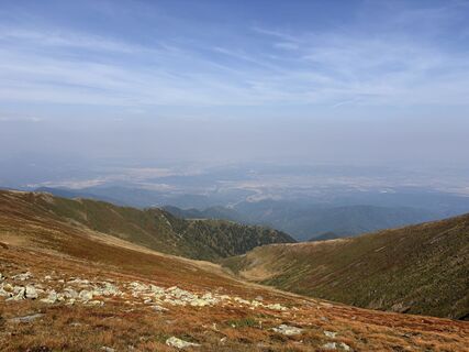 Fotografija s spletne strani Melle Koletzki na poti