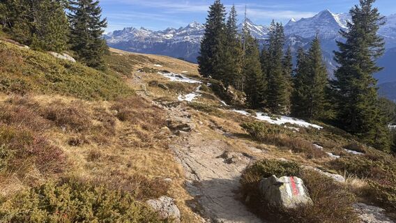 Fotografia z peter_oe na trase