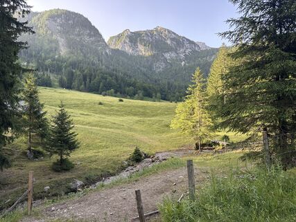 Foto von Dani Geiger / Natur_erleben_dg entlang der Tour
