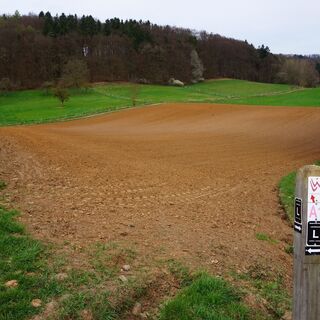 Zwischen Aumenau und Falkenbach