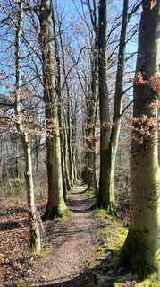 Foto von Enkidu55 entlang der Tour