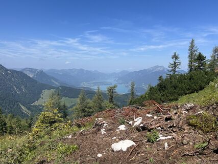 Fotografija s spletne strani Heidi Graf na poti