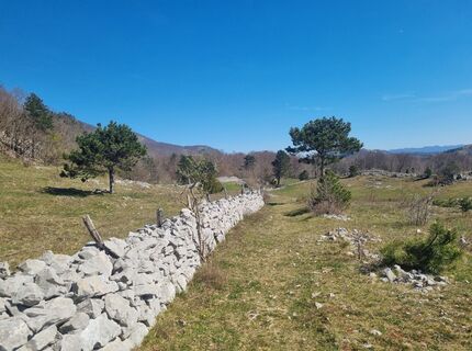Фото с сайта Grizli во время экскурсии