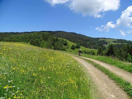 Über die Almen zum Steinplan