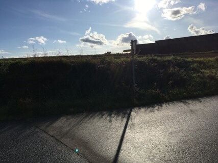 Wanderweg Nr. 30, Eichen und Eulen