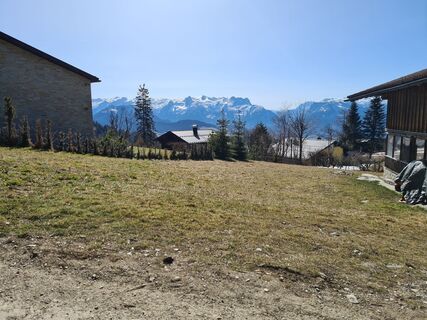 Photo de Moro le long du parcours