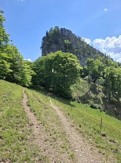 Photo de Maurer Silvia le long du parcours