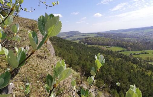 Östlicher Blick vom kleinen Hörselberg bei Eisenach
