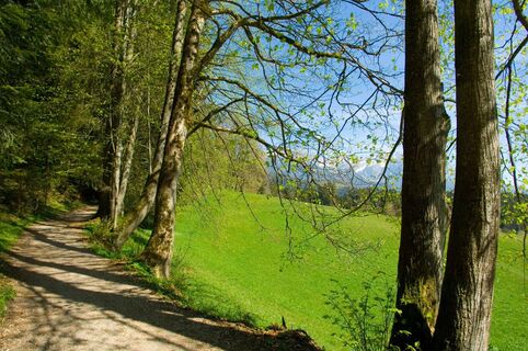 Söll_Sunnseit_Wilder Kaiser
