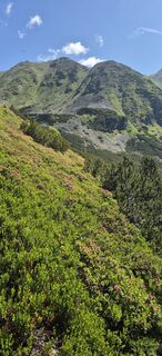 Photo de Doris Falk le long du parcours