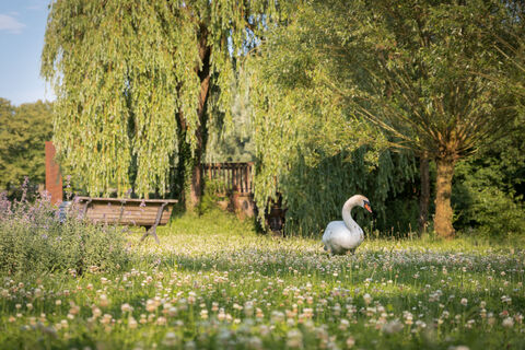 kurpark_marlen-rasche
