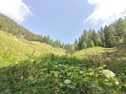 Foto de Turbinio a lo largo del recorrido