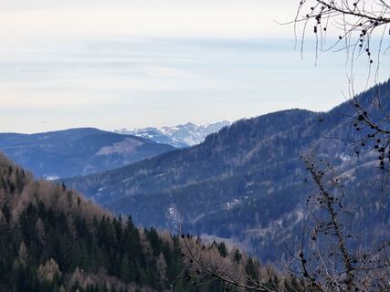 Fotografia z enipeus 65 na trase