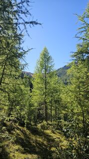 Fotografie de la Clemens Noska de-a lungul turului