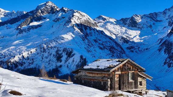 Photo de walrei le long du parcours