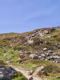 Fotografie de la Greg+Lisa de-a lungul turului