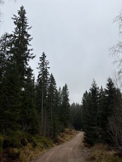 Fotografia z FriluftslivGoat na trase