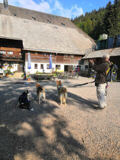 Foto von Sonja Herdeg entlang der Tour