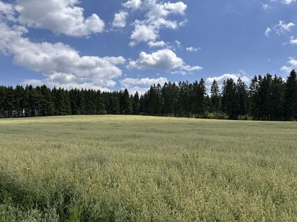 Foto von Monika Diem entlang der Tour